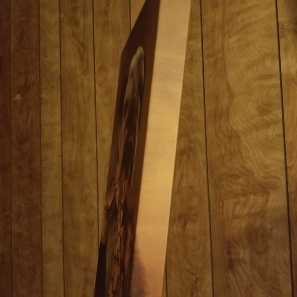 English Bulldog Portrait - Picture 2 of 3